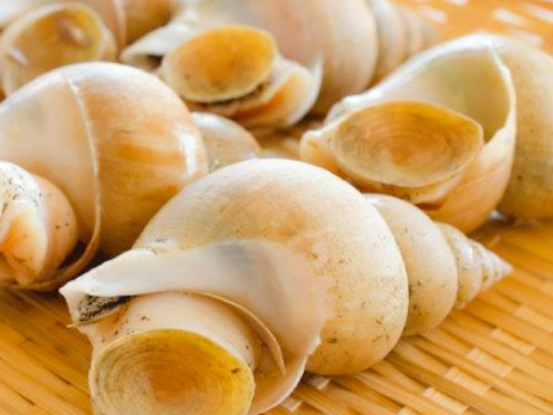 石川県の旨いモノ バイ貝 の煮付けに挑戦 各地のオイシイ食材
